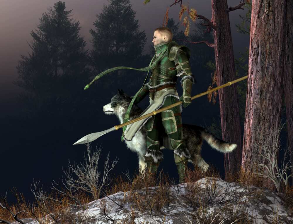Best paladin names Best paladin names