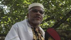 Full list of southeast traditional leaders who stormed Abuja court, calling for Nnamdi Kanu's release