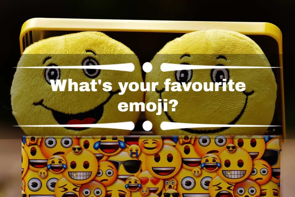 what's your favorite questions what's your favorite questions