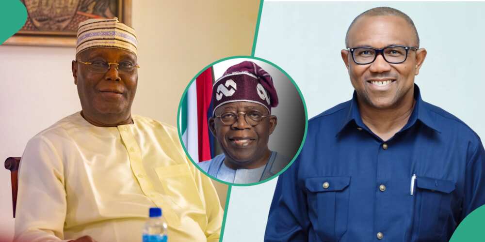 Tribunal judgement/Tribunal/Peter Obi/Atiku vs Tinubu