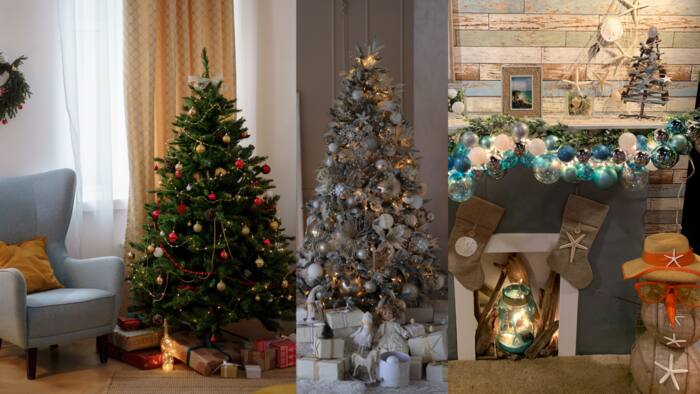 20+ Christmas decoration ideas that you will love in 2022