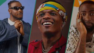 Davido's Peruzzi grooves to Wizkid's song after OBO's claims about Star Boy, video sparks reactions