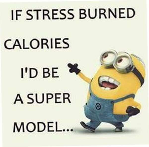 30 Funniest Minion Memes Every Facebook Mom Will Be Obsessed With Legit Ng