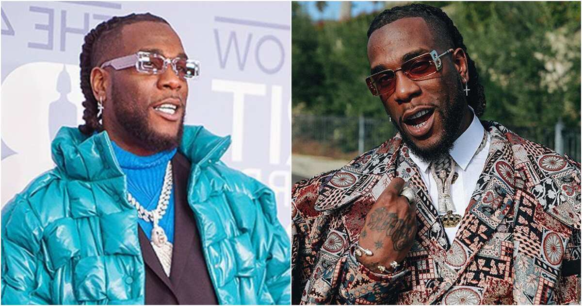 Burnaboy shares plans to preview album Twice As Tall with housemates ...