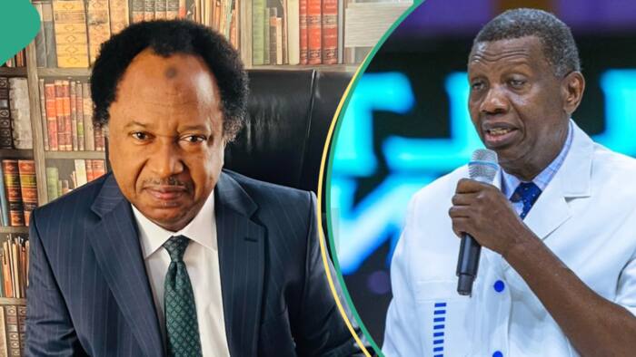 Shehu Sani reacts to Adeboye’s prophecy that naira will be stronger than dollar