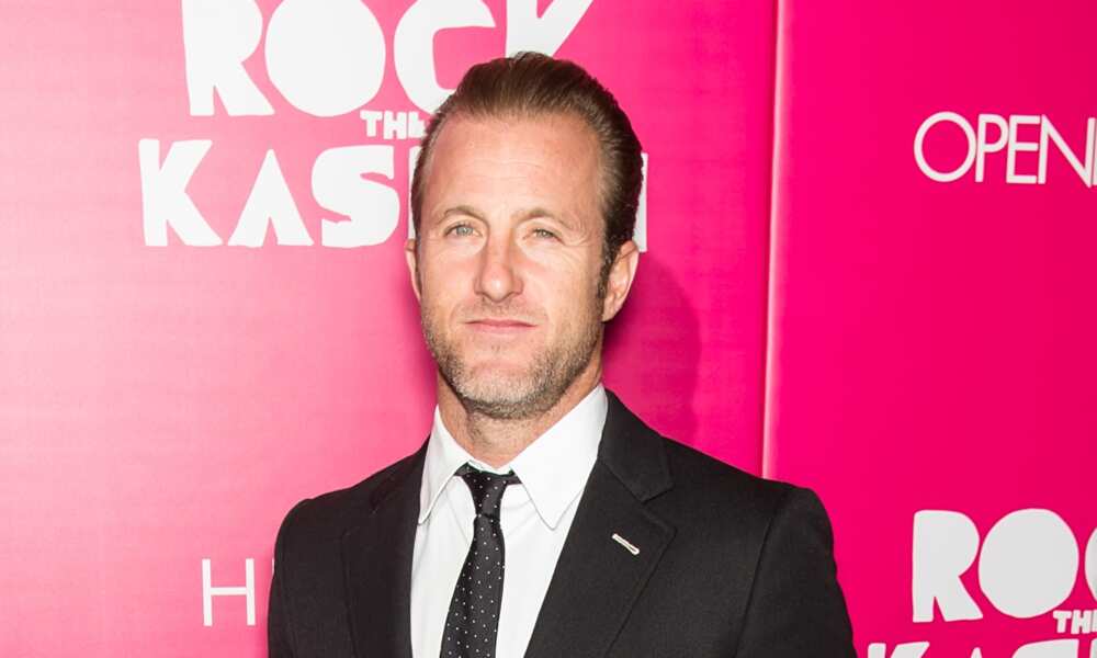 Why was Scott Caan not in season 10?