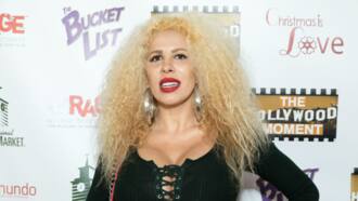 Afida Turner : origines, biographie, carrière, photos