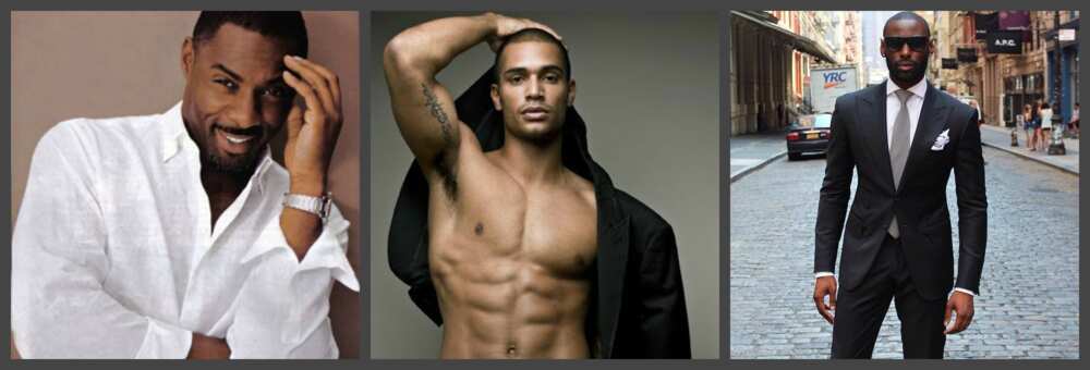 What is an alpha male in humans
