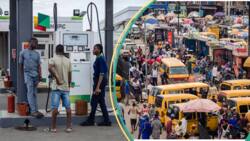 Petroleum marketers speak on fuel price in Nigeria, NNPCL's final decision