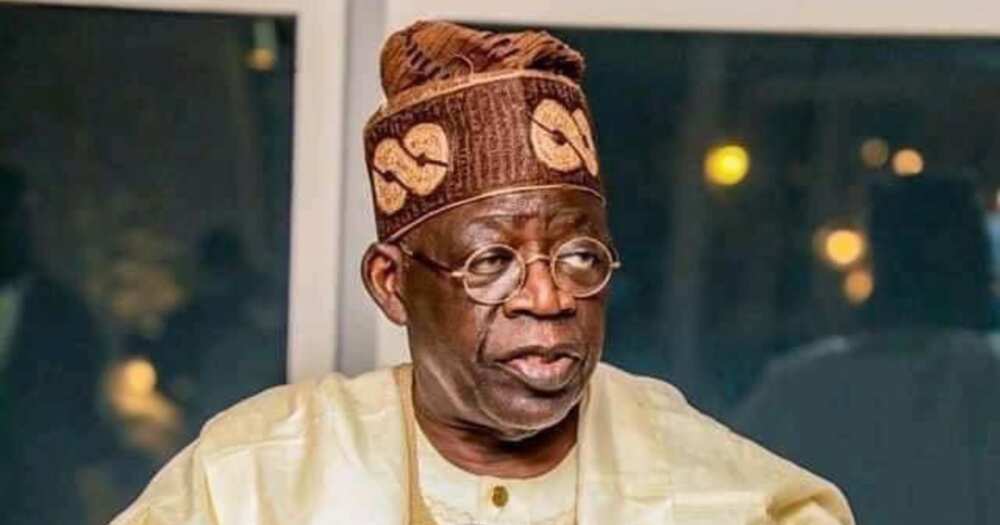 2023 election, Tinubu, APC’sresidential Candidate, Groups' Reveal