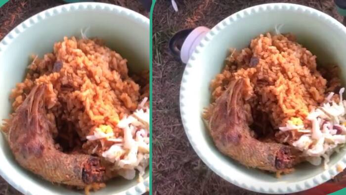 Wedding guest sees head of chicken inside Jollof rice served by couple, video goes viral