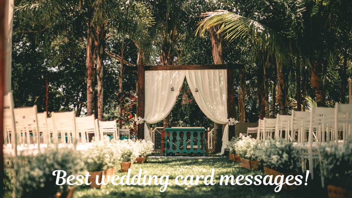 What to write in a wedding card best wishes quotes and messages Legit.ng