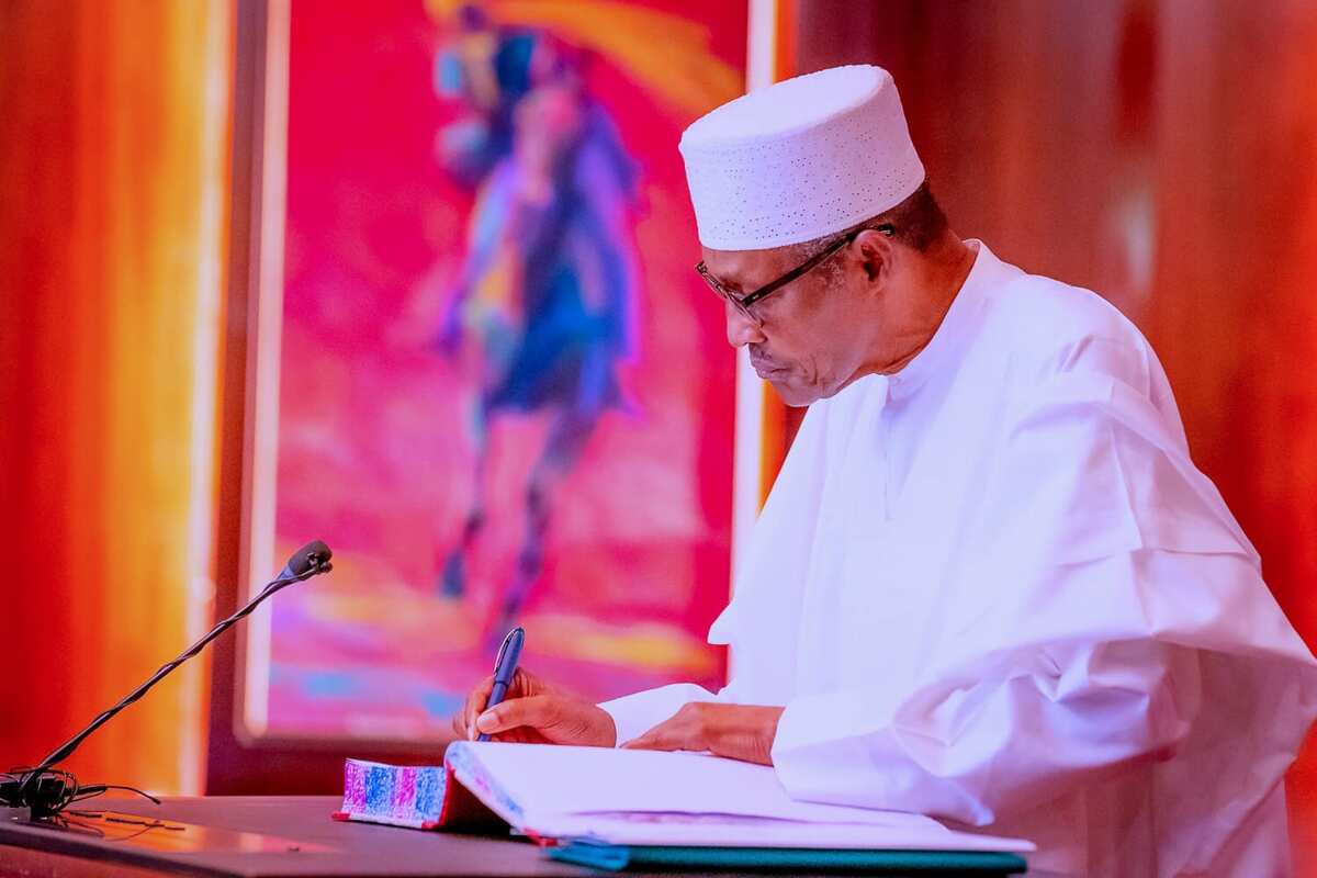 President Buhari gives key appointment to southeast governor's brother