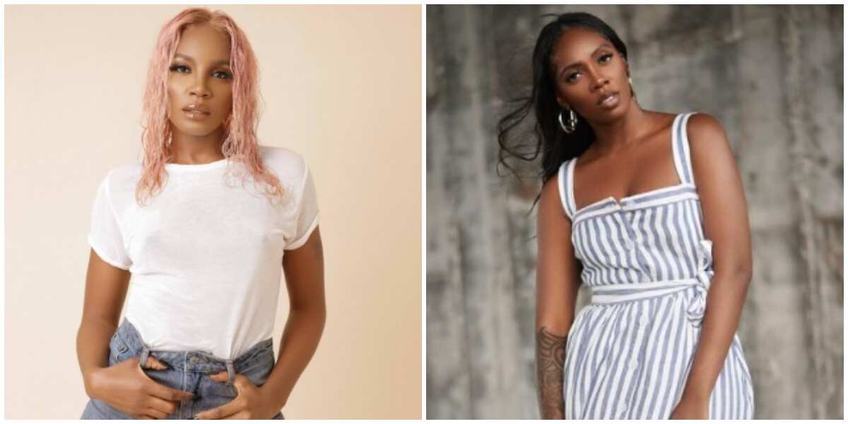 Nigerians react to Seyi Shay's declaration of love for Tiwa Savage in response to a troll