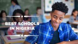Top 25 best schools in Nigeria in 2022: Get the best education