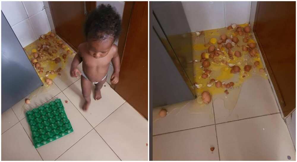 Baby girl looking at empty crate of eggs, little girl breaks egg.