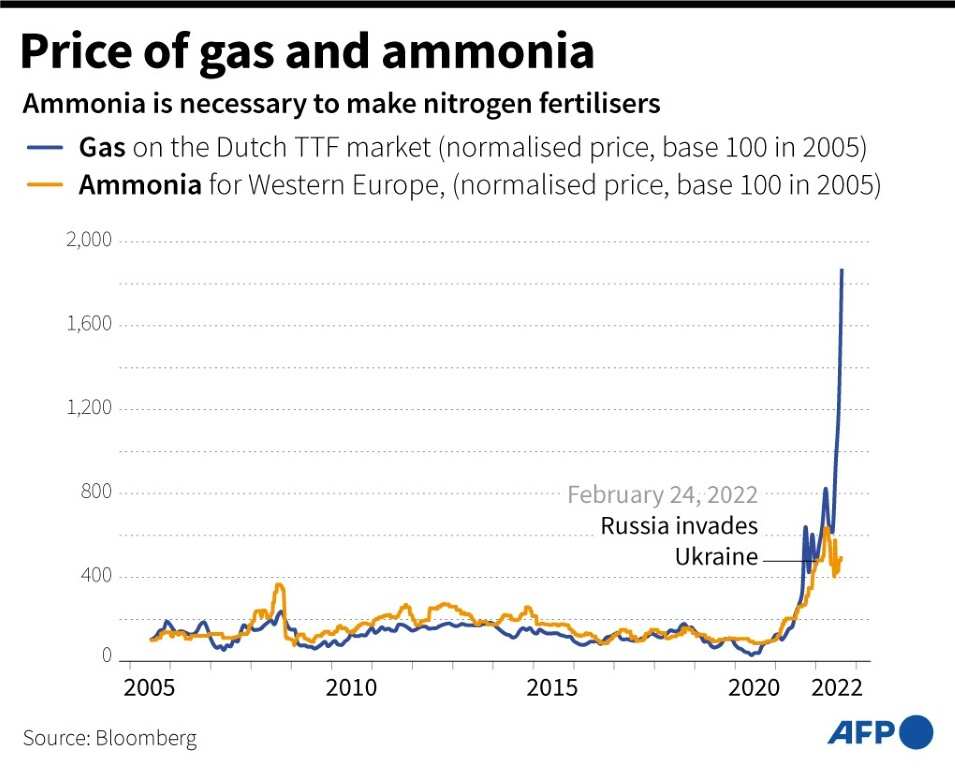 Price of gas and ammonia