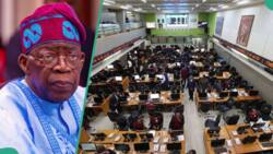 Tinubu policies help Access, Zenith, 3 other top banks shareholders pocket over N1.2trn in 9 months
