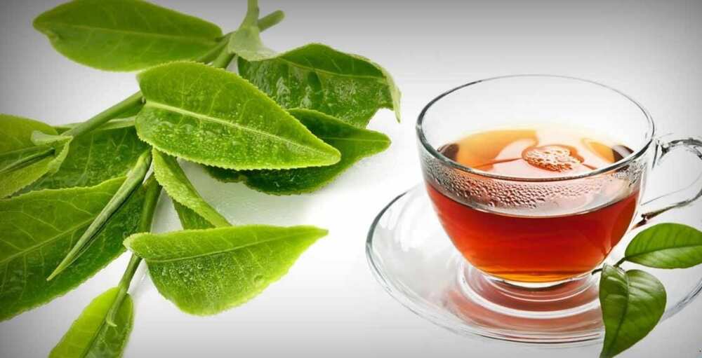 How to make guava leaf tea