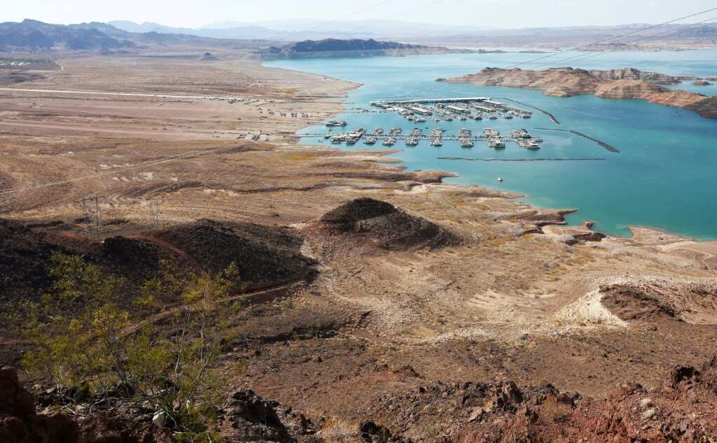 Lake Mead mob murder: Gun found near site of body in barrel - Legit.ng