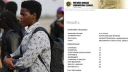 WAEC 2023: Boy in shambles as he gets F9 in 3 subjects, E8 in Economics, photo of result trends