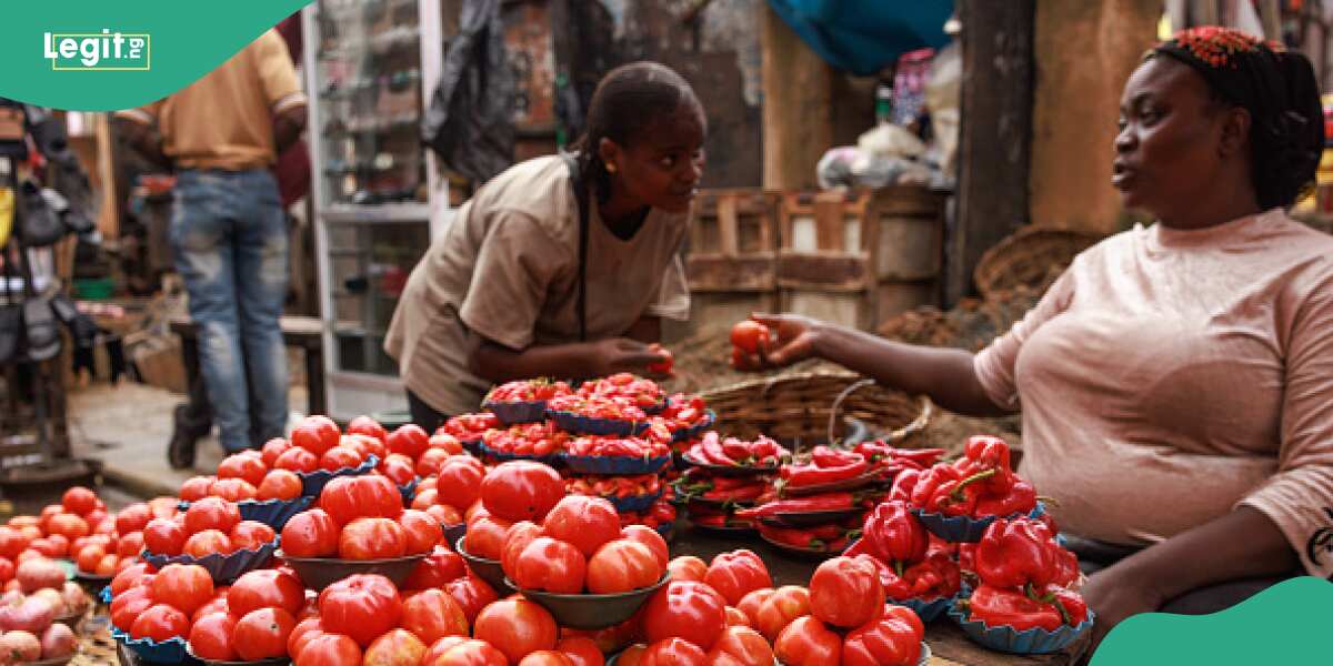 See the new price of tomatoes and peppers in Jos that got people rejoicing