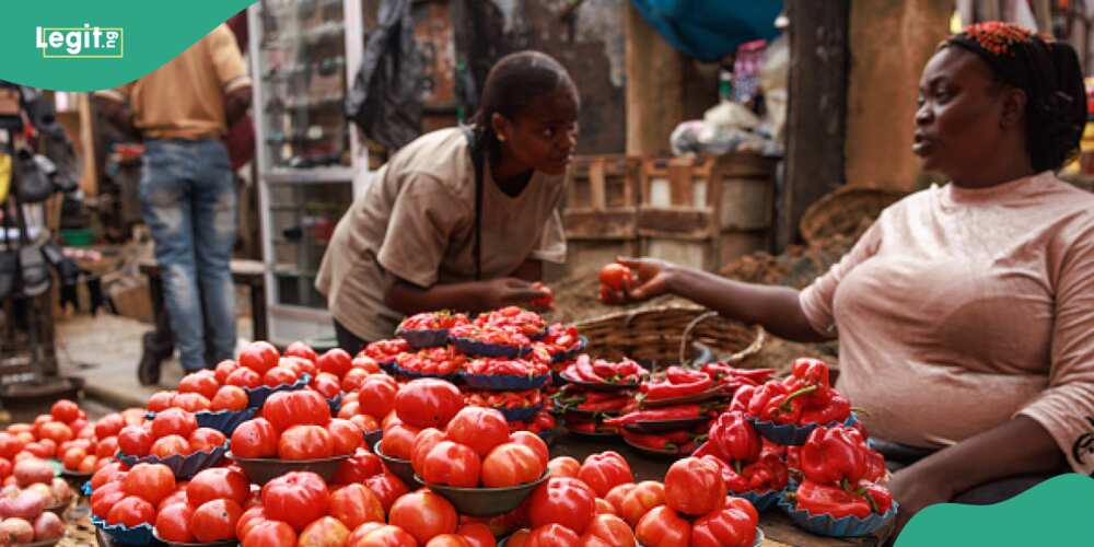 Price of tomatoes and pepper: Lady shares new price as tomatoes and peppers crash in Jos