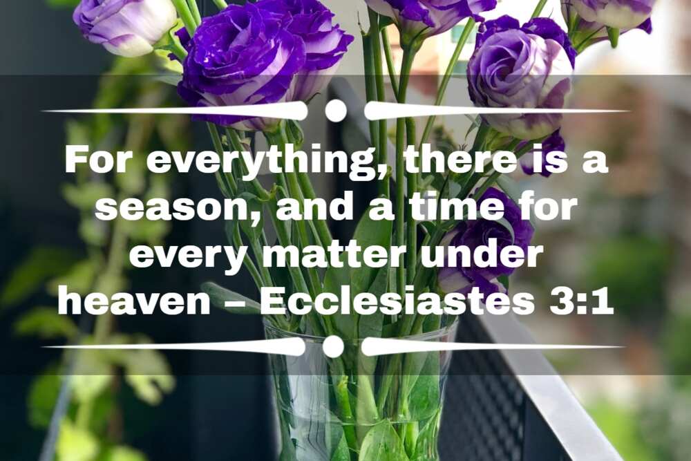 everything happens for a reason bible verse
