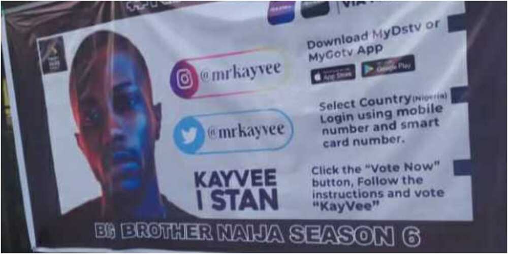 BBNaija Kayvee