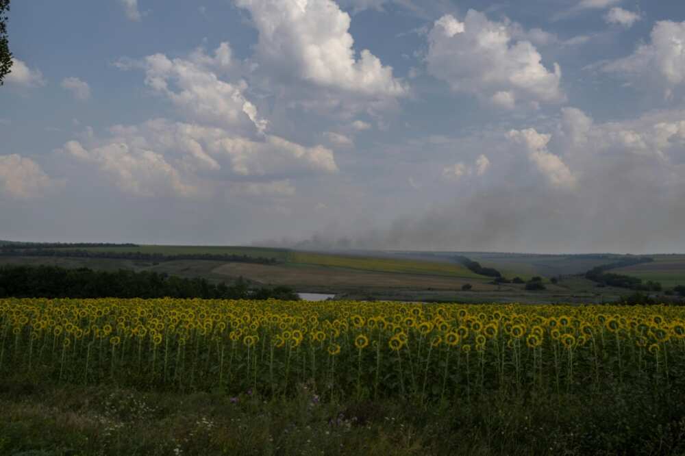A smoke plume billows on the horizon behind sunflower fields, in eastern Ukraine on August 11, 2022