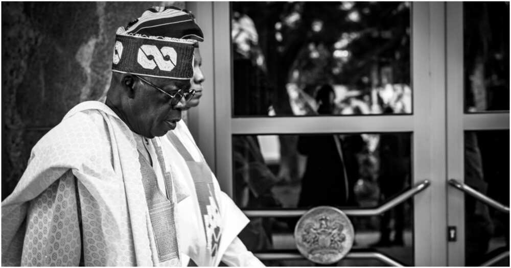 Bola Tinubu, fuel subsidy Bola Tinubu, fuel subsidy