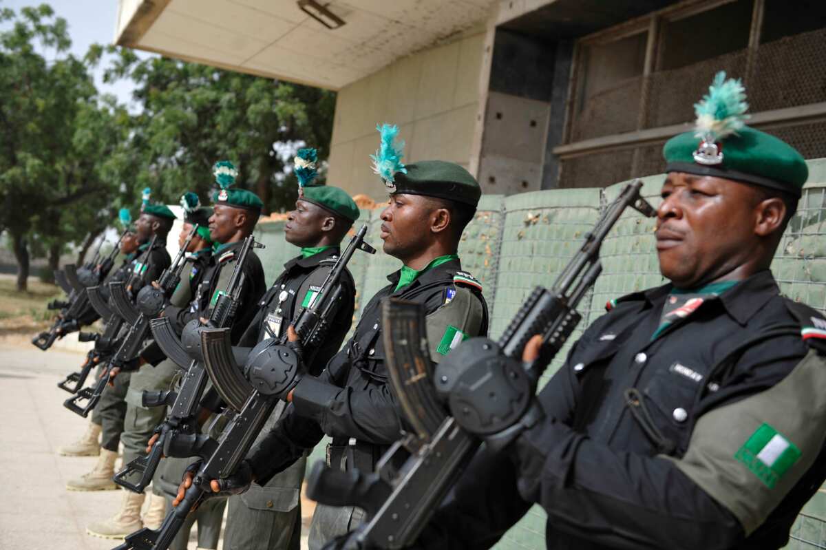 Nigerian Police Ranks And Symbols: All You Need To Know About Them