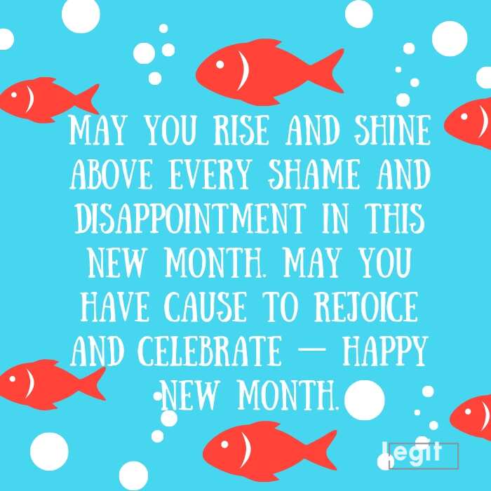 50 happy new month messages, wishes, prayers and quotes ...