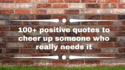 100+ positive quotes to cheer up someone who really needs it