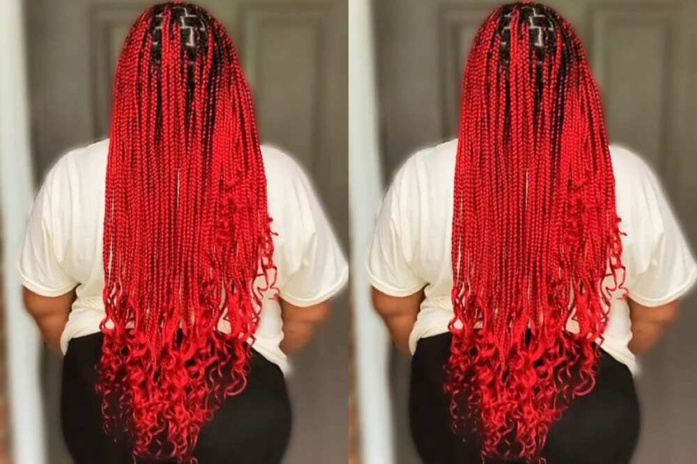 30 Coolest Knotless Braids Hairstyles  Burgundy box braids, Box braids  hairstyles, Box braids styling