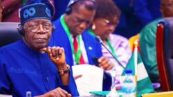 Tsohon Gwamnan Ekiti Ya Ambaci Jigon PDP da Wajibi Yana Cikin Ministocin Tinubu