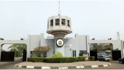 Huge tragedy as robbers invade University of Ibadan, kill top NECO official