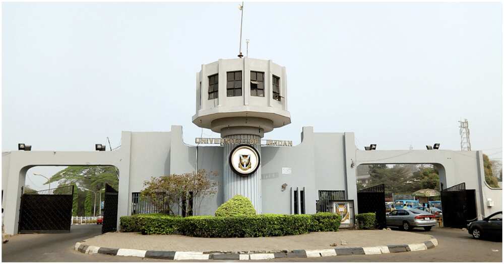 University of Ibadan, National Examinations Council, NECO, armed robbers