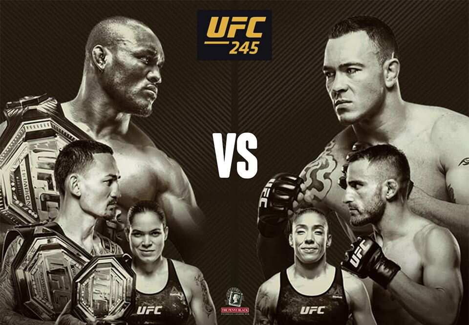 UFC 245