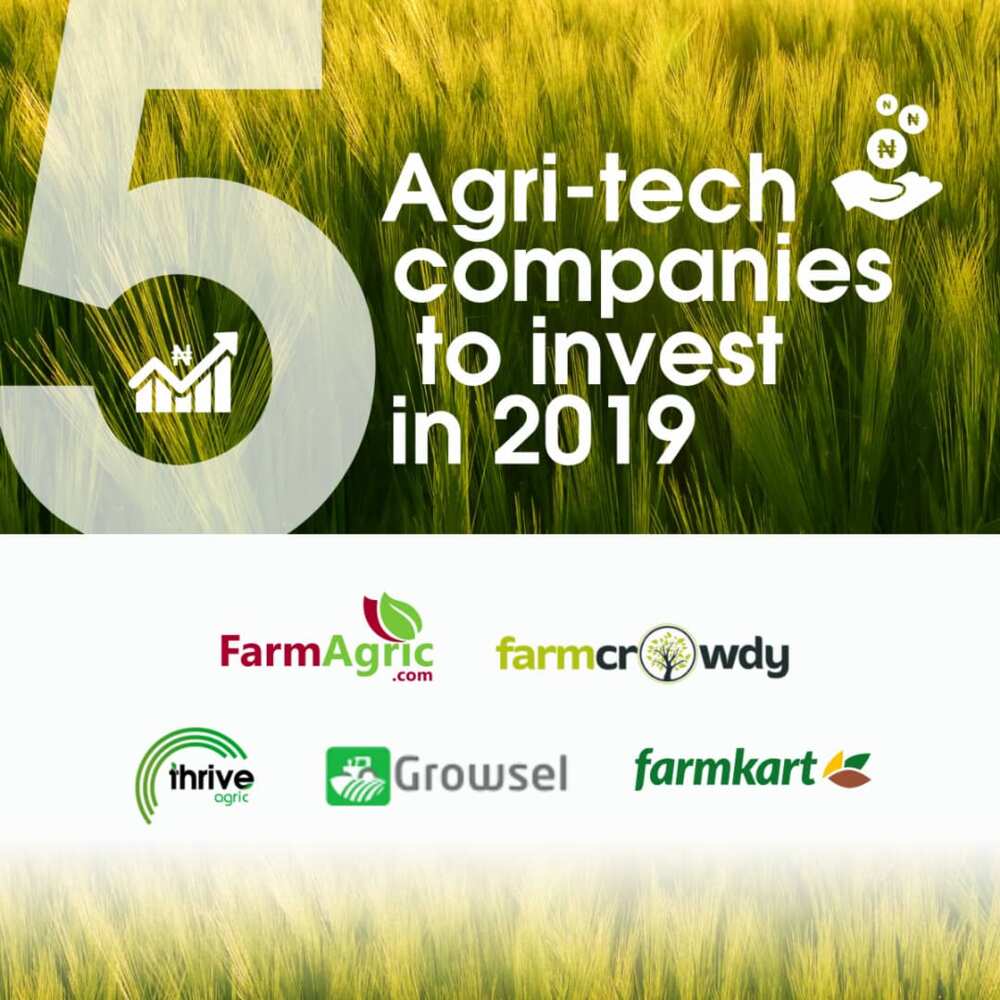 5 Agri-Tech companies to invest in 2019