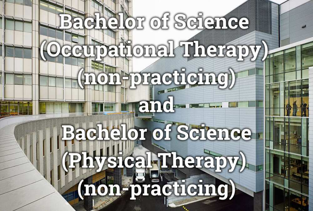 Bachelor of Science (Occupational Therapy)