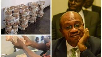 Nigerian Bank Pays Customers in N5, N10 Amid Scarcity of New Naira Notes, as CBN Issues Fresh Instruction