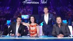 All American Idol judges, past and present, and their stories