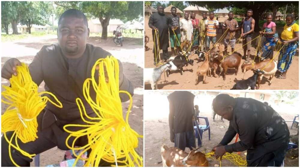 Politician donates ropes to his community members to tie their goats in Benue