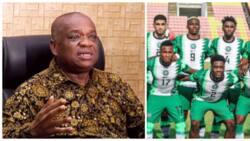 Nigerian ex-governor to become Super Eagles' next coach? Interesting credentials released