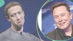 Facebook: Elon Musk ya tsokani Zuckerberg bayan samun tangarɗa a shafukansa, an yi korafi