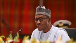 Opinion: Will Buhari surpass Buhari by Oluwaseun Ajayi