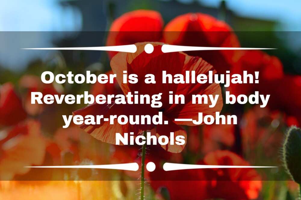Happy October month quotes