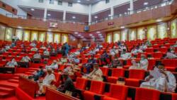 2024 Budget: Report shows NASS allocated N6.6trn' to unknown projects' to ministries