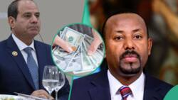 “Dollar in trouble?”: Meet the bold African nations moving to join other countries to crash the US dollar